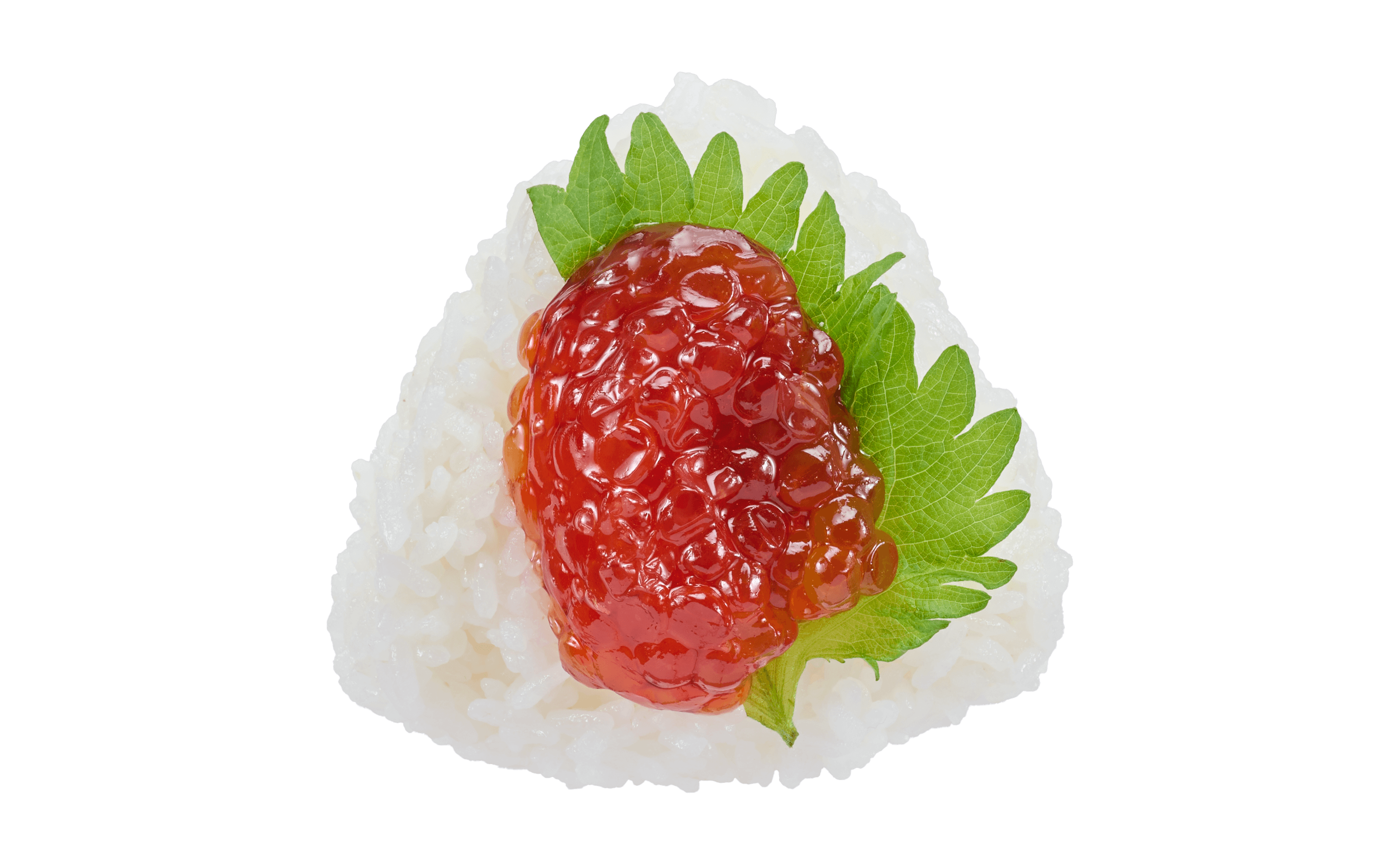 とろ艶すじこ