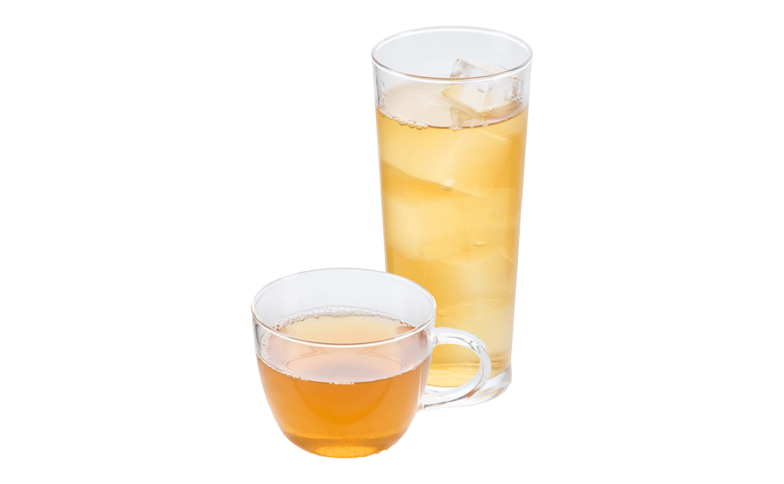 ほうじ茶（Hot / Iced）