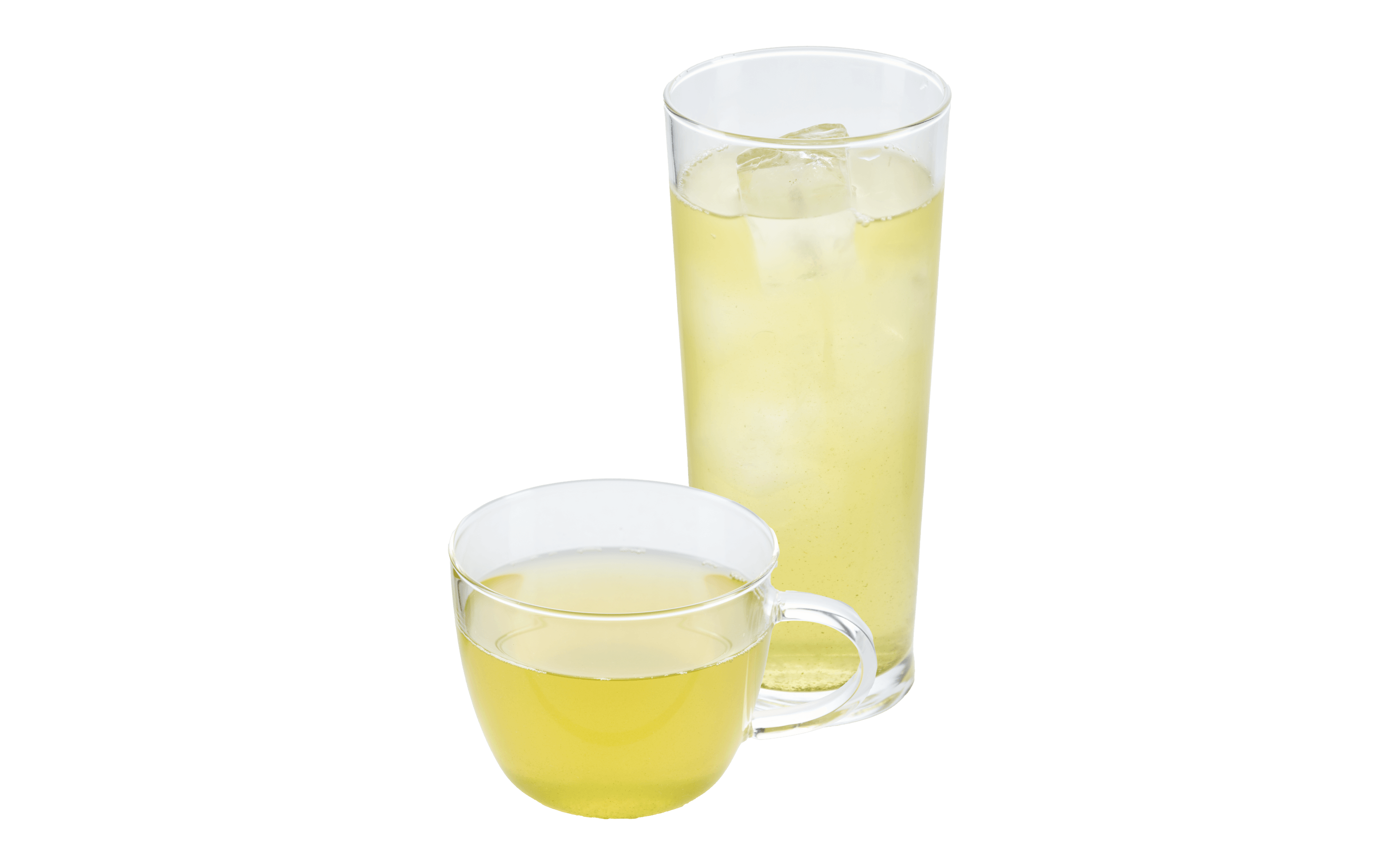 煎茶（Hot / Iced）