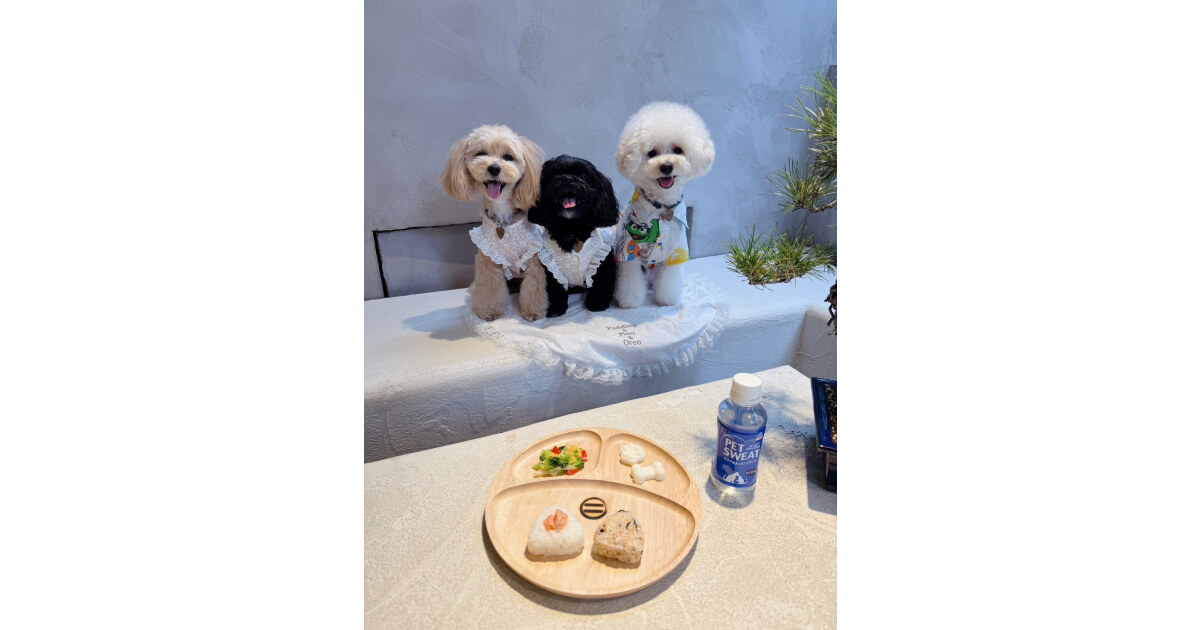 愛犬と一緒に、特別なひとときを。